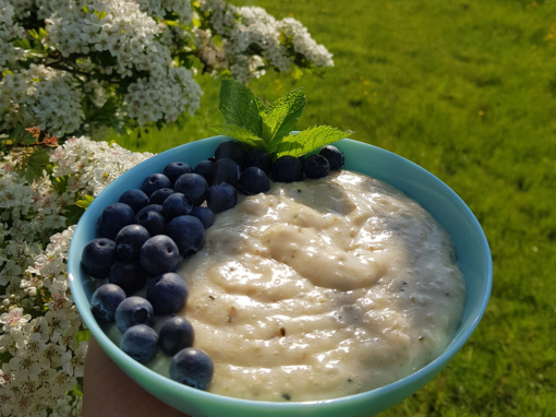 Vanillepudding-Porridge